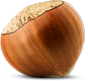 Nocciola